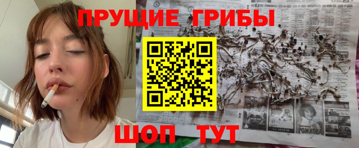 Псилоцибиновые грибы MAGIC MUSHROOMS  Вход с VPN  Алатырь  Псилоцибиновые грибы Psilocybe 